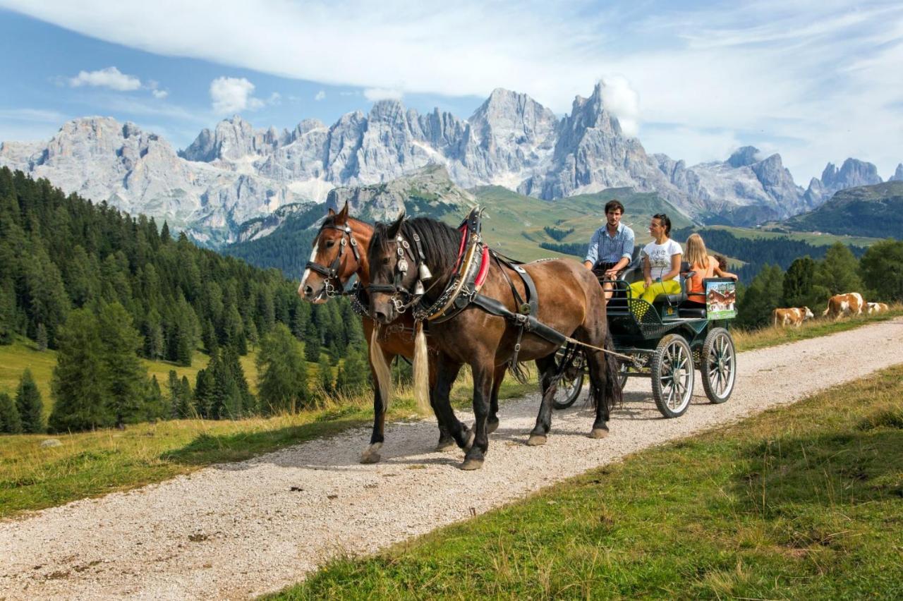 Hotel Italia Castello-Molina di Fiemme Zewnętrze zdjęcie
